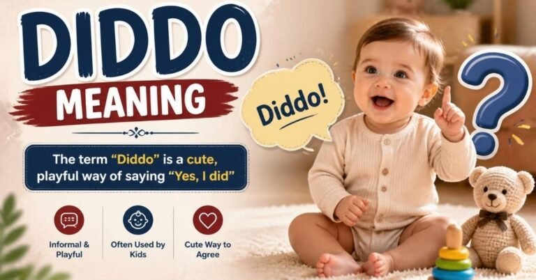 diddo meaning