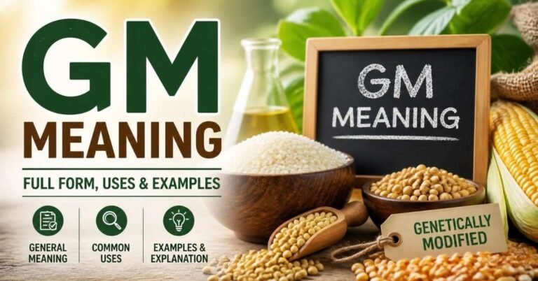 gm meaning